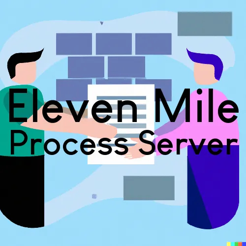 Eleven Mile, AZ Process Server, “Serving by Observing“ 