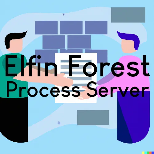 Elfin Forest, California Process Servers