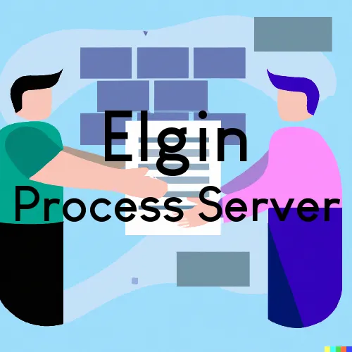 Elgin, Illinois Process Servers