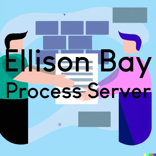 Ellison Bay, WI Process Servers in Zip Code 54210