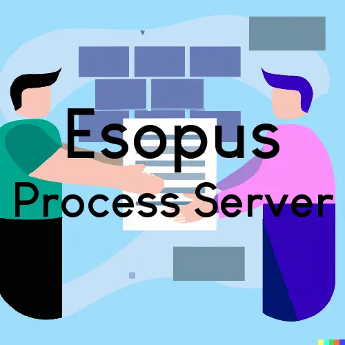 Esopus, NY Process Server, “Chase and Serve“ 
