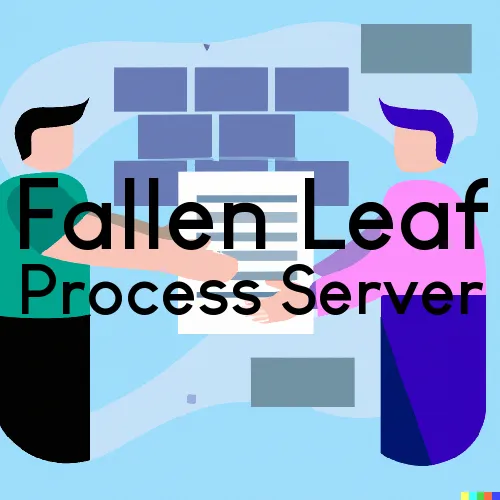 Fallen Leaf, California Process Server, “Metro Process“ 