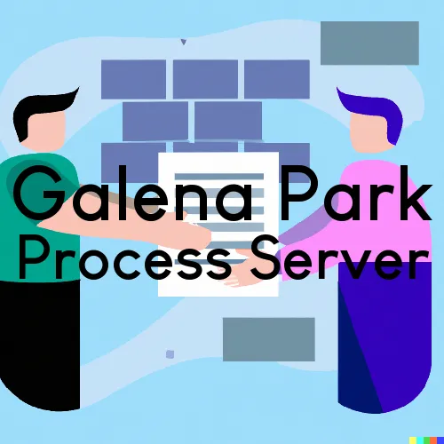Galena Park, TX Process Servers and Courtesy Copy Messengers
