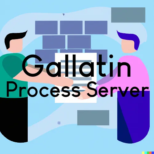 Gallatin, Tennessee Process Servers 