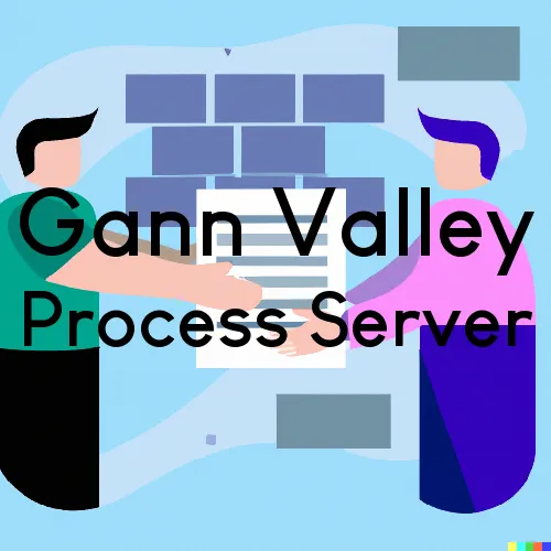 Gann Valley, South Dakota Process Servers