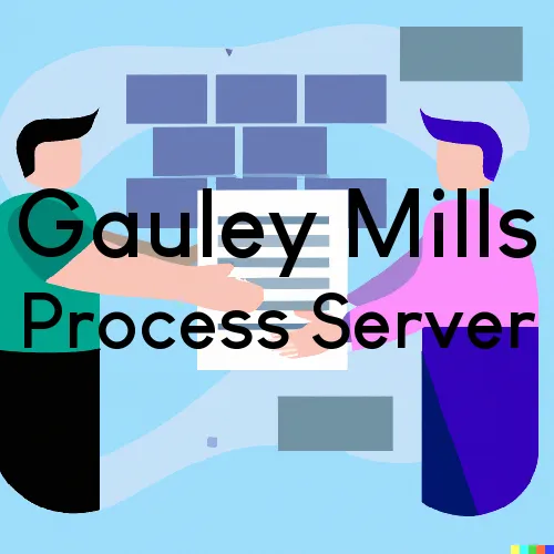 Gauley Mills Process Server, “On time Process“ 