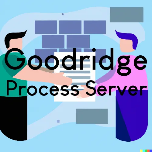 Goodridge, MN Process Servers in Zip Code 56725