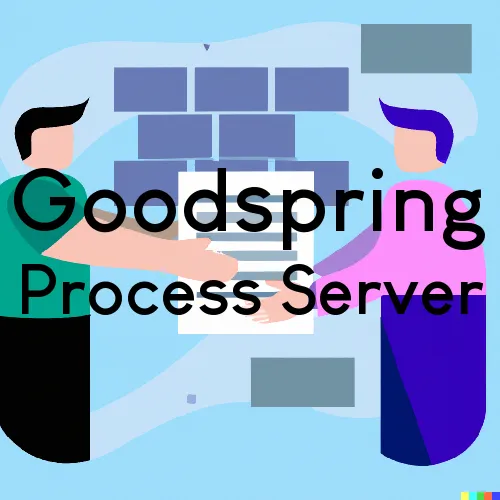 Goodspring Process Server, “Serving by Observing“ 