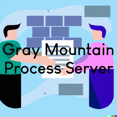 Gray Mountain Process Server, “Serving by Observing“ 