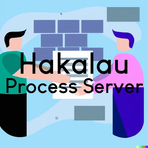 Hakalau, HI Process Servers and Courtesy Copy Messengers