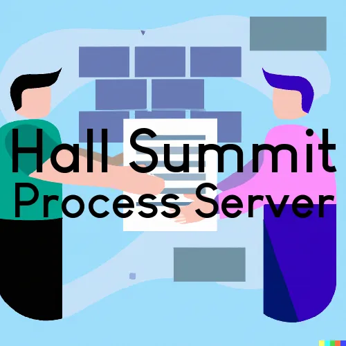 Hall Summit, LA Process Servers and Courtesy Copy Messengers