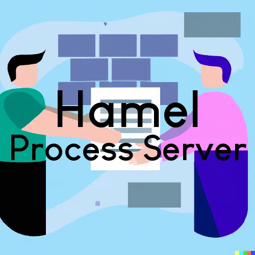 Hamel, Illinois Process Servers