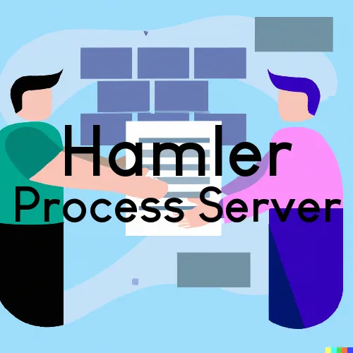 Hamler Process Server, “Serving by Observing“ 