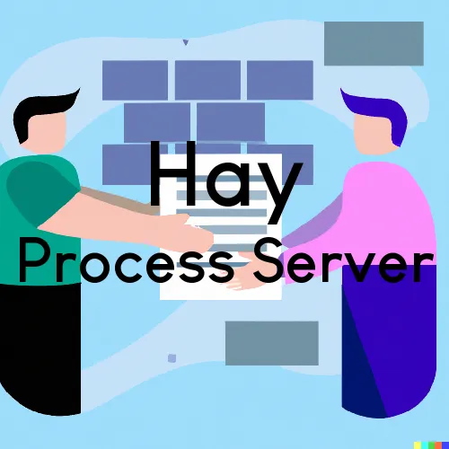 Hay, Washington Process Servers