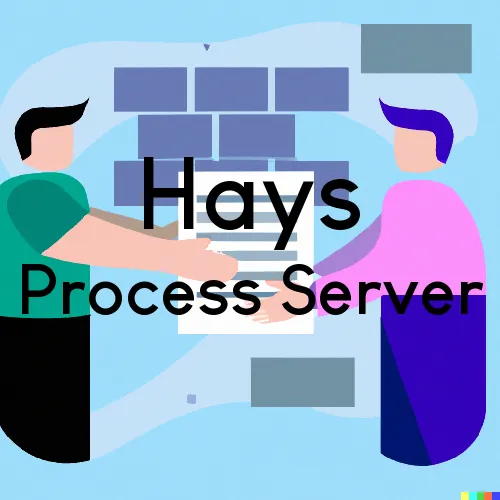 Hays, Texas Process Servers and Field Agents
