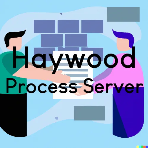 Process Servers in Zip Code Area 26366 in Haywood