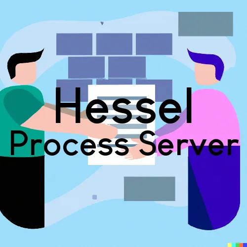 Hessel, MI Court Messengers and Process Servers