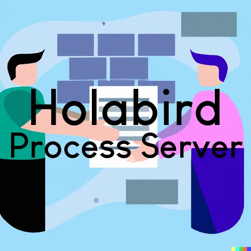 Holabird Process Server, “Process Servers, Ltd.“ 