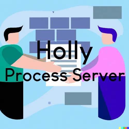 Courthouse Runner and Process Servers in Holly