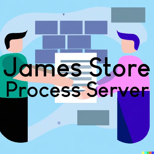 James Store, VA Process Servers in Zip Code 23128
