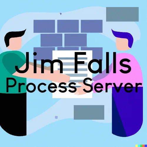 Jim Falls Process Server, “On time Process“ 