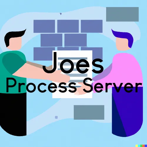 Joes, Colorado Process Servers