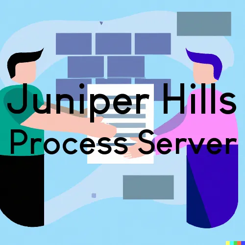 Juniper Hills, CA Process Servers in Zip Code 93543