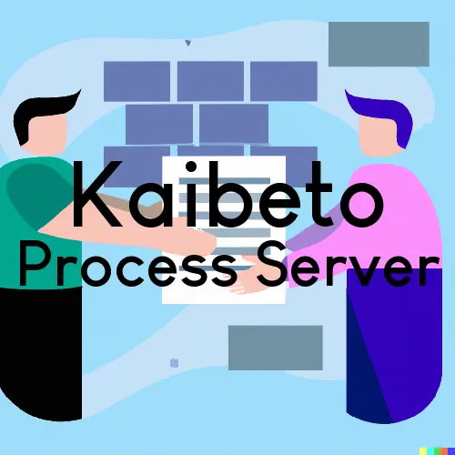 Kaibeto Process Server, “Rush and Run Process“ 