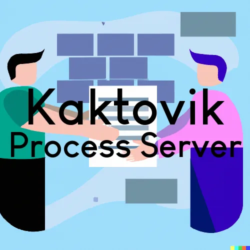 Kaktovik Process Server, “On time Process“ 