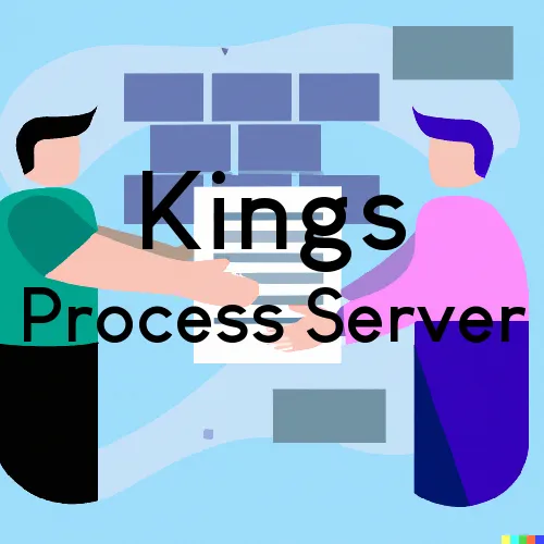Kings, IL, Zip Code 61068 Process Servers