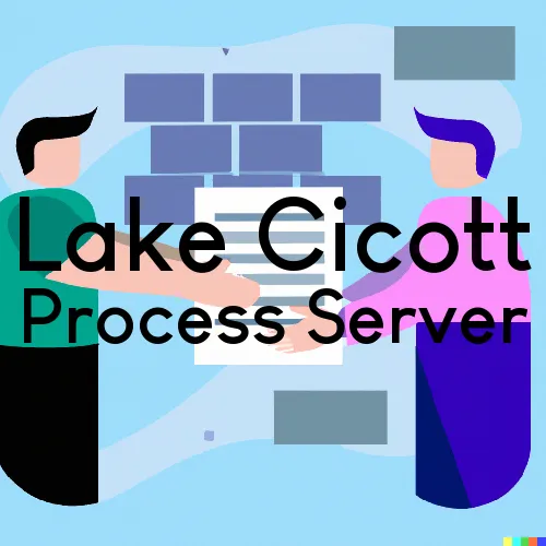 Lake Cicott, Indiana Process Servers