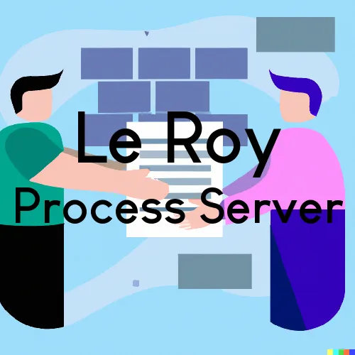 Le Roy Process Server, “Chase and Serve“ 