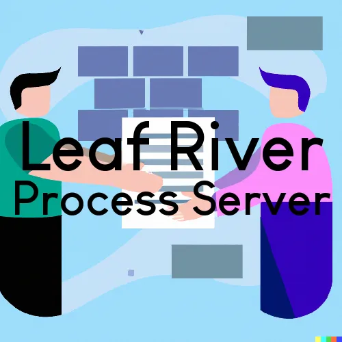 Leaf River, Illinois Process Servers