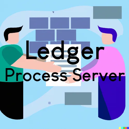 Courthouse Runner and Process Servers in Ledger