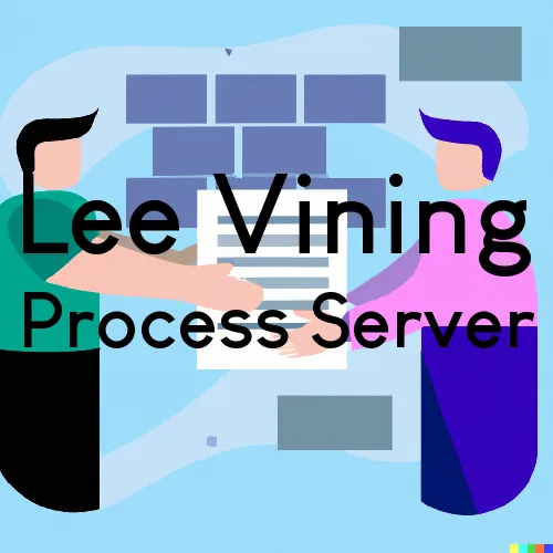 Lee Vining Process Server, “Chase and Serve“ 