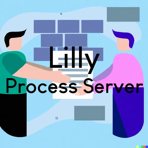 Lilly, Georgia Process Servers