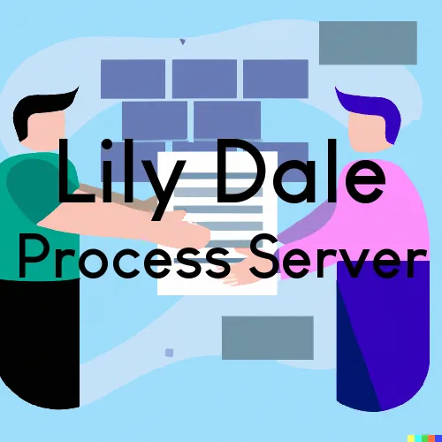 Lily Dale, NY Process Server, “U.S. LSS“ 