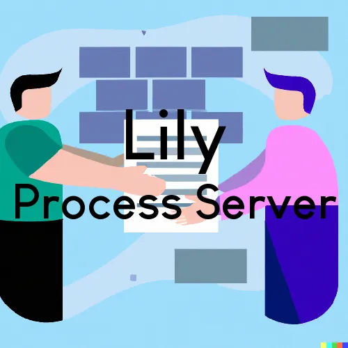 Lily, WI Process Serving and Delivery Services