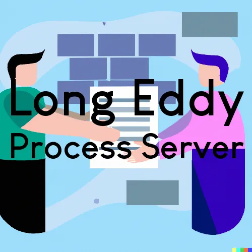 Long Eddy, NY Process Servers in Zip Code 12760