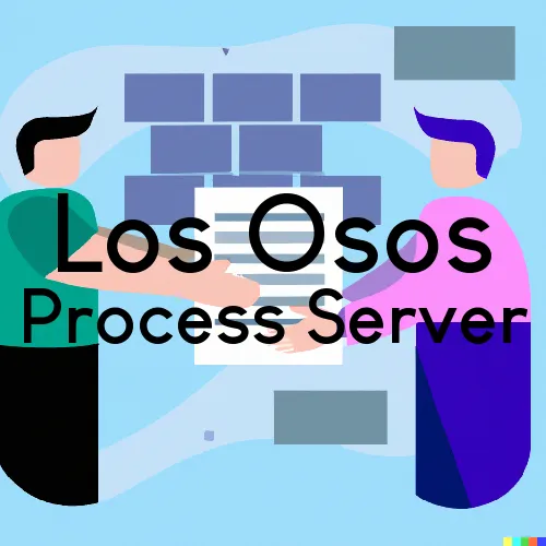 Los Osos, CA Process Serving and Delivery Services
