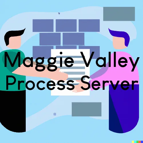 Maggie Valley, NC Court Messenger and Process Server, “U.S. LSS“