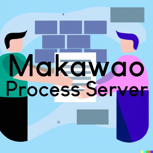 Makawao, HI Process Server, “Rush and Run Process“ 