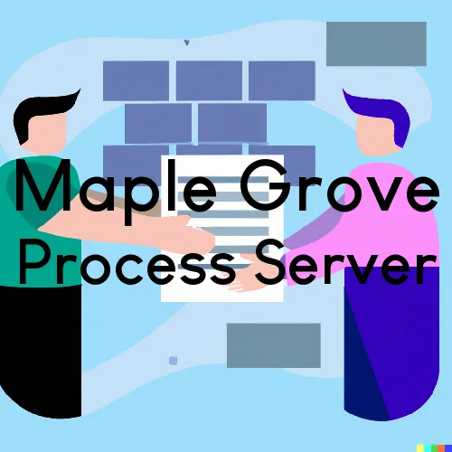 Maple Grove, Minnesota Process Servers