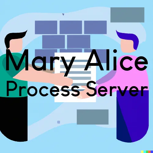 Mary Alice, KY Process Servers in Zip Code 40964