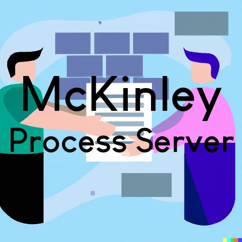 McKinley, MN Process Server, “Chase and Serve“ 