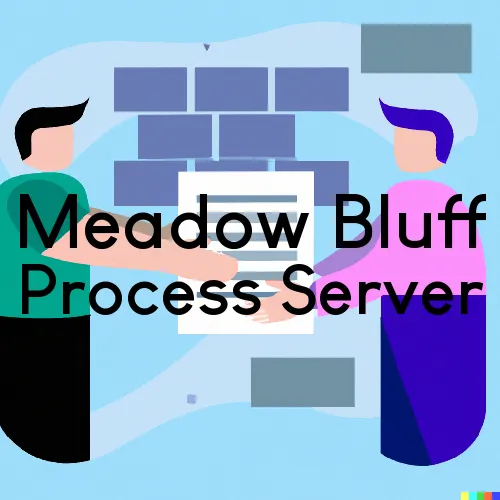 Meadow Bluff, WV Process Server, “Alcatraz Processing“ 