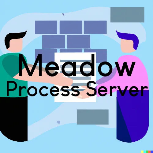 Meadow, Texas Process Servers