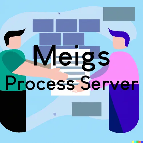 Meigs, Georgia Process Servers