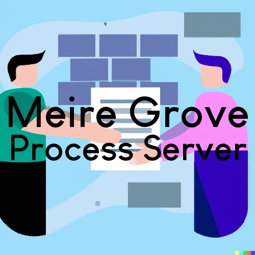 Meire Grove, Minnesota Process Servers and Field Agents