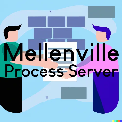 Mellenville, NY Process Servers in Zip Code 12544